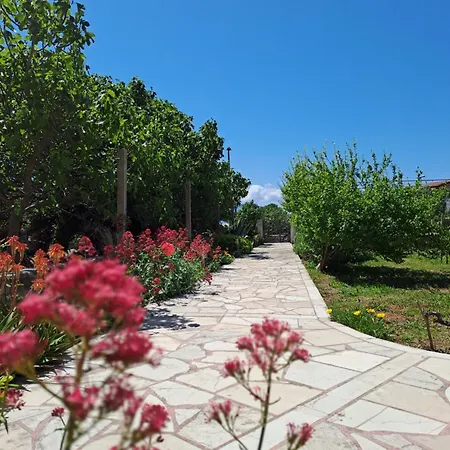 Piacun 3* Sućuraj