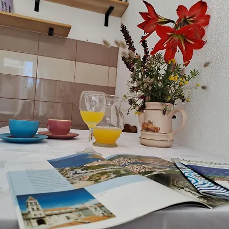 Guest house Piacun
