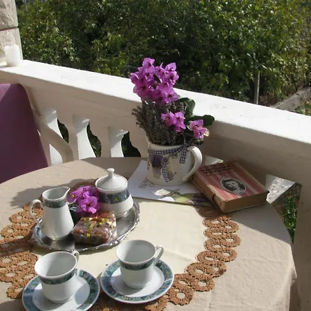 Guest house Piacun Sucuraj